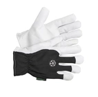 VINTERHANDSKE GETNARV/BOMULL, STL. L/9 12pack